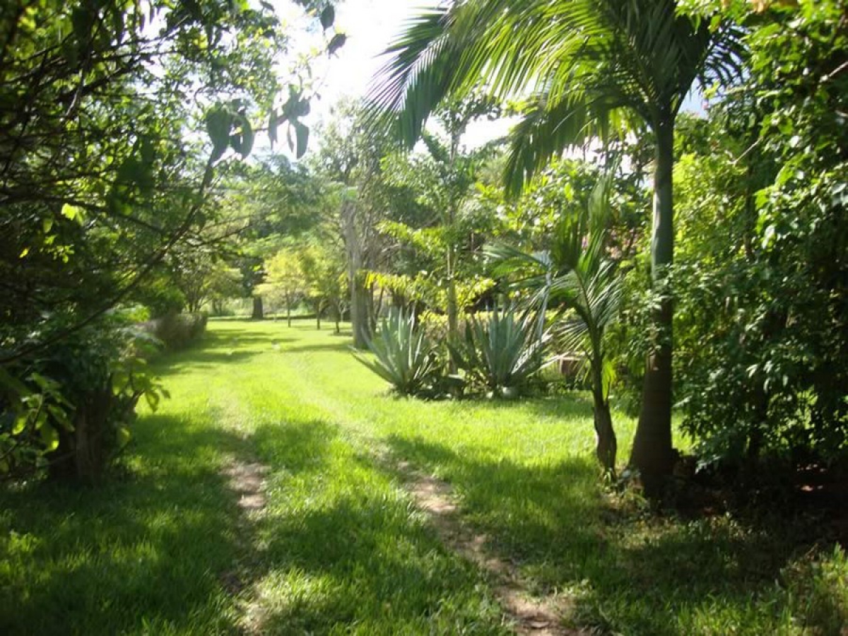 Minas Gerais II — foto 23