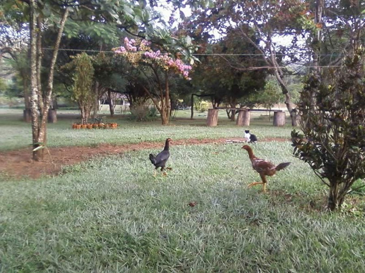 Minas Gerais II — foto 34