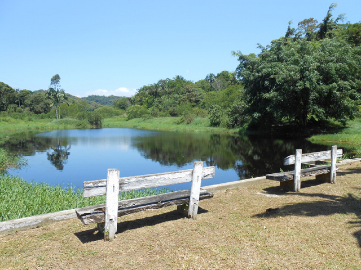 Paraná — foto 10